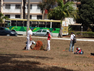 The true field work in Brasília